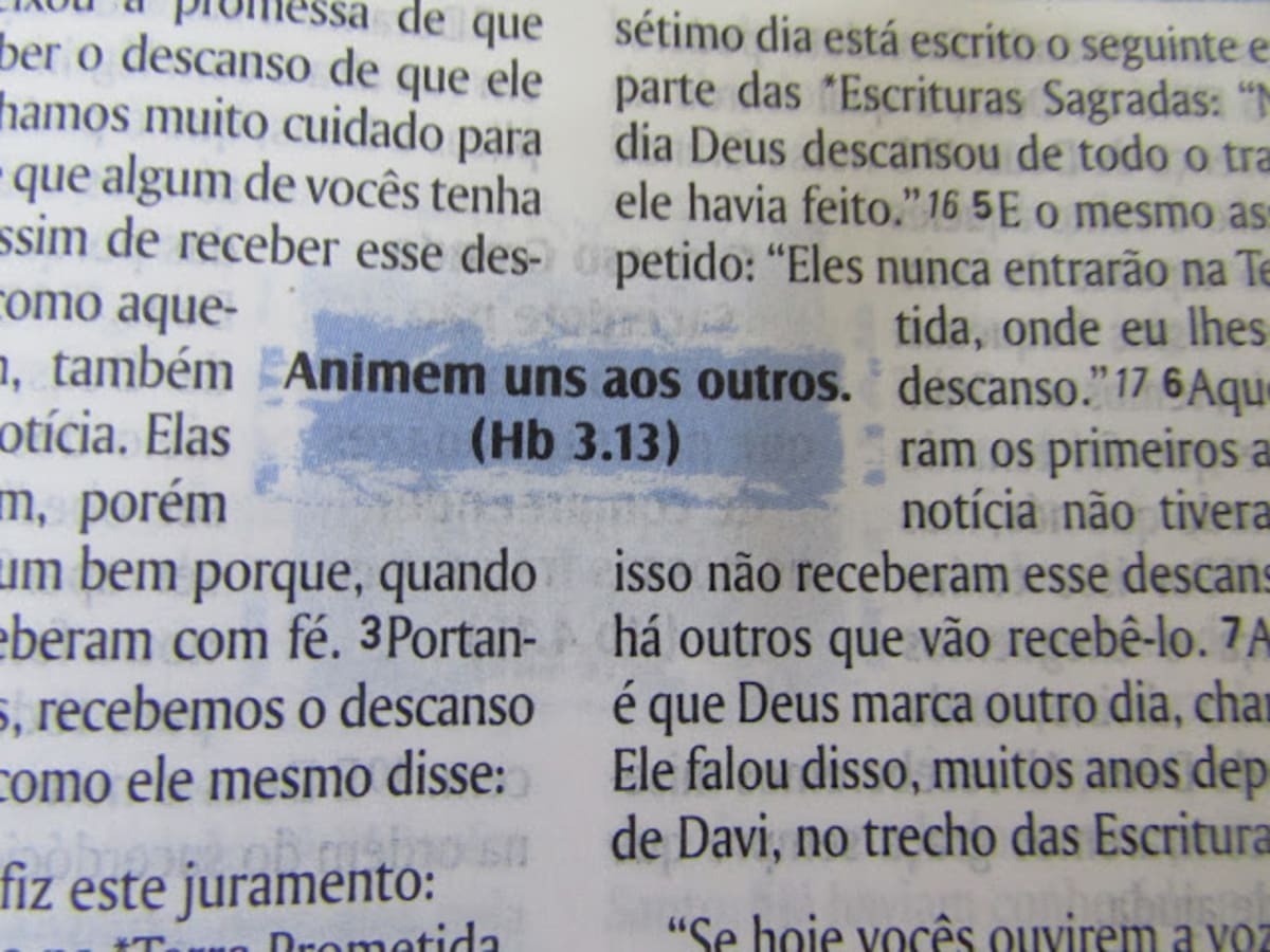 Destaque da frase 'Animem uns aos outros. (Hb 3.13)' em uma página da Bíblia.